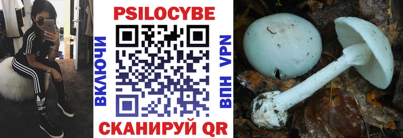 даркнет сайт  Инта  Псилоцибиновые грибы MAGIC MUSHROOMS 